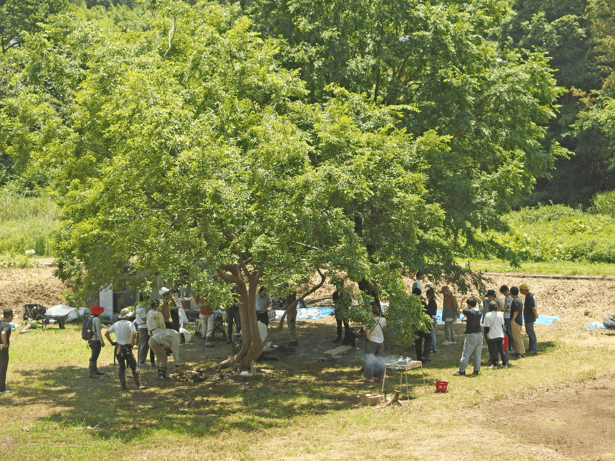 神戸・須磨区の神社「多井畑厄除八幡宮」で幻想的な『竹あかりアート』が楽しめるイベントを開催！親子で一緒...