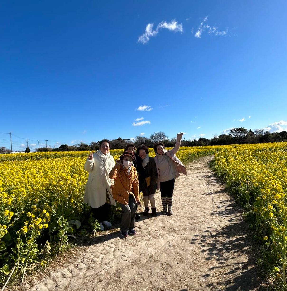 Viva kokoroイベント・「欲ばりなHappyDay1周年【ジブリjazz】」を８月２０日に古民家フレンチレストラン・ア...