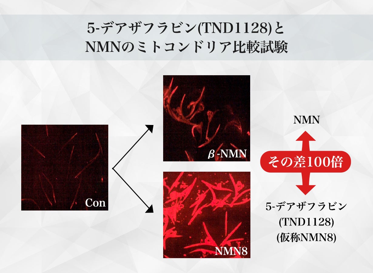 【開始50分で100万円達成！】未来の自分へ贈る次世代エイジングケア成分「5-デアザフラビン(TND1128)」サプリ...