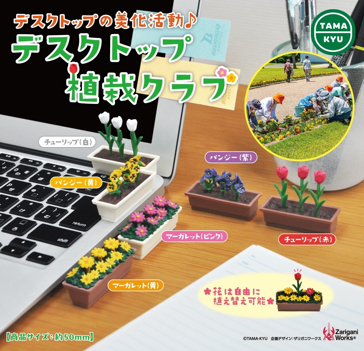 【新商品】デスクトップの美化活動！「デスクトップ植栽クラブ」が本日より全国のカプセルトイコーナーにて順...