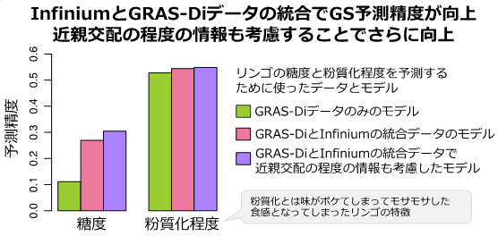 芽生えの段階でのリンゴ果実特性の予測精度が向上!〜ゲノム情報の統合で過去に取得したデータも利用可能に〜