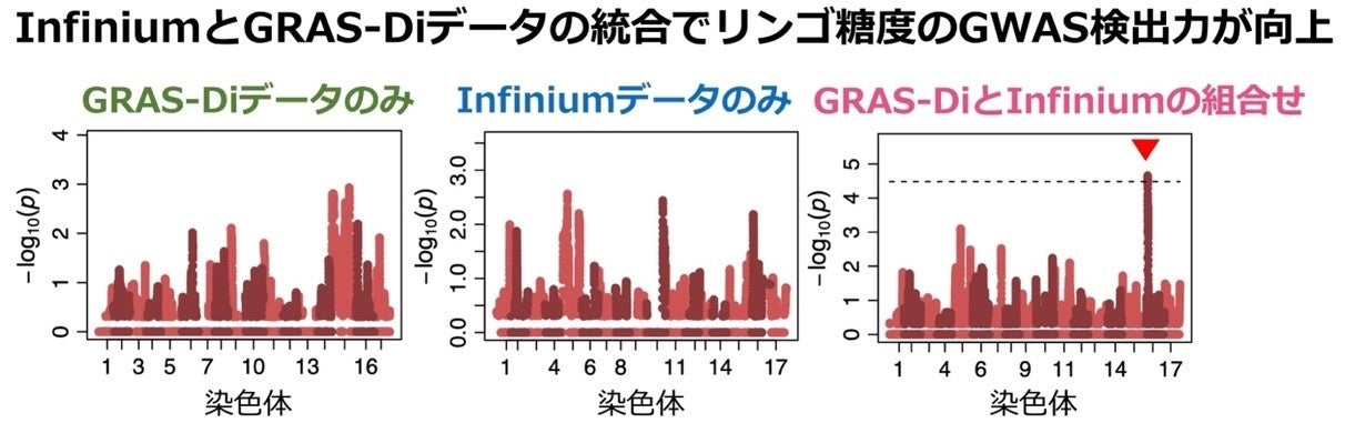 芽生えの段階でのリンゴ果実特性の予測精度が向上!〜ゲノム情報の統合で過去に取得したデータも利用可能に〜