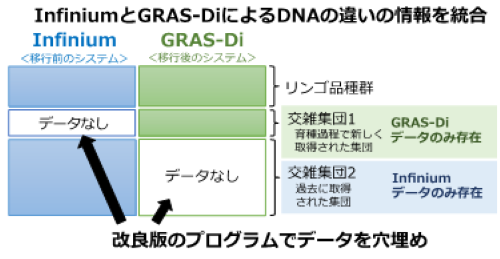 芽生えの段階でのリンゴ果実特性の予測精度が向上!〜ゲノム情報の統合で過去に取得したデータも利用可能に〜