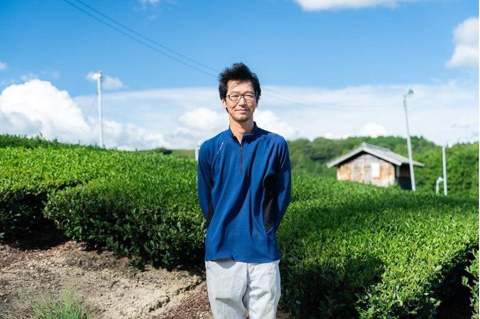 シングルオリジン・ティーを丸ごと楽しむ「ALL GREEN」から日本三大銘茶・静岡の茶産地で育まれた「萎凋さや...