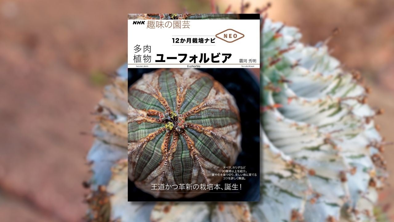 本邦初！ 『NHK趣味の園芸 12か月栽培ナビNEO 多肉植物 ユーフォルビア』7月18日発売