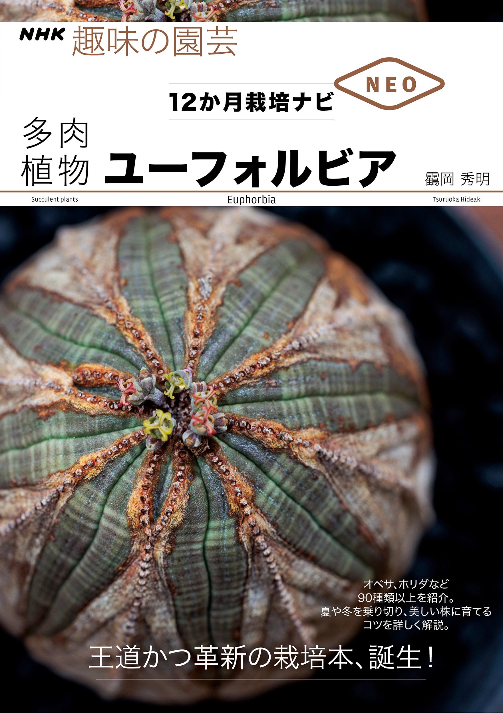 本邦初！ 『NHK趣味の園芸 12か月栽培ナビNEO 多肉植物 ユーフォルビア』7月18日発売