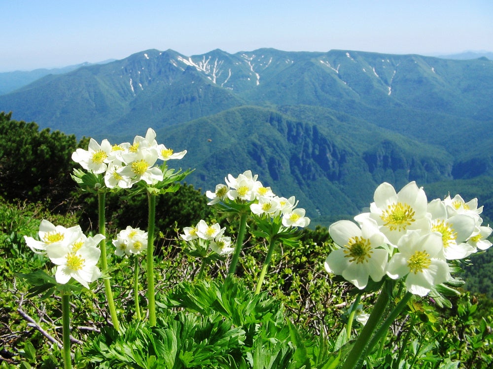 【北海道／層雲峡】24年夏！「VRお化け屋敷」開催決定！！朝陽亭で夏を涼しく過ごすプラン販売中♪