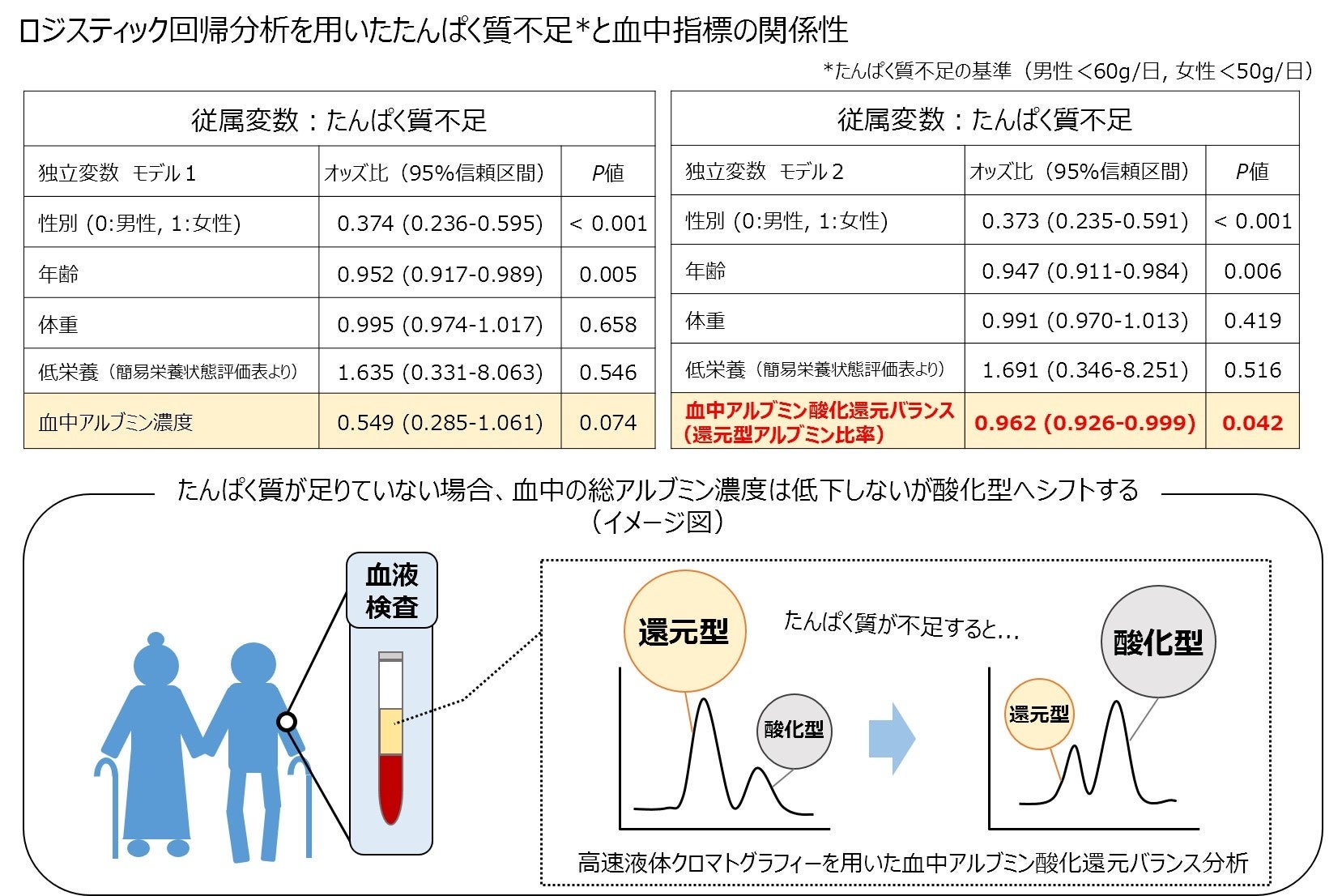 血中アルブミン酸化還元バランスが高齢者の低たんぱく質栄養状態の指標となる可能性