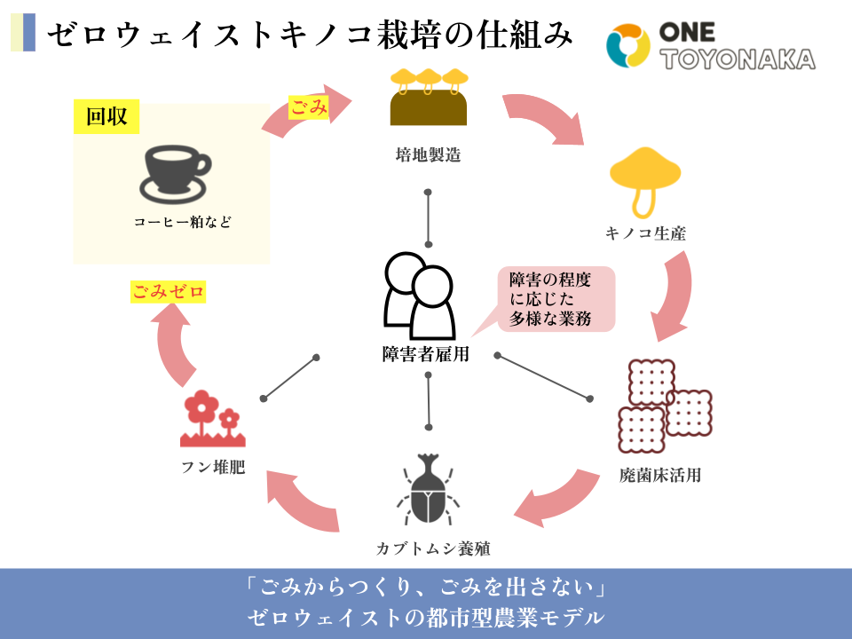 ボーダレス・ジャパン、大阪府豊中市できのこ栽培を通じて障害者雇用を生み出す新規事業「ONE TOYONAKA」を開始