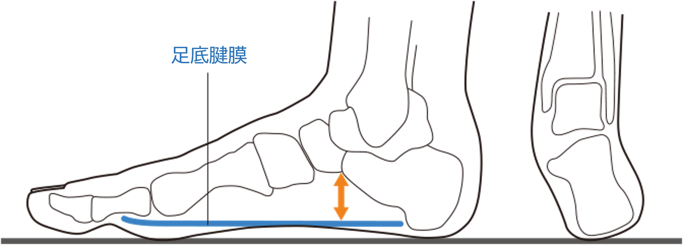 【わずか10分で完成】Footcraftシリーズにオーダーメイドインソール「Footcraft CUSTOM」 BALANCE・IMPACTの2...