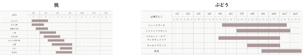 こんなの食べたことない！白桃とぶどうがそれぞれ「定食」に「晴れの国おかやま・フルーツ食堂～もも定食・ぶ...