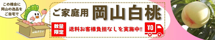 産地直送通販サイト「ＪＡタウン」ショップの「おいしいおかやま」で「岡山白桃お試しキャンペーン」開催中！