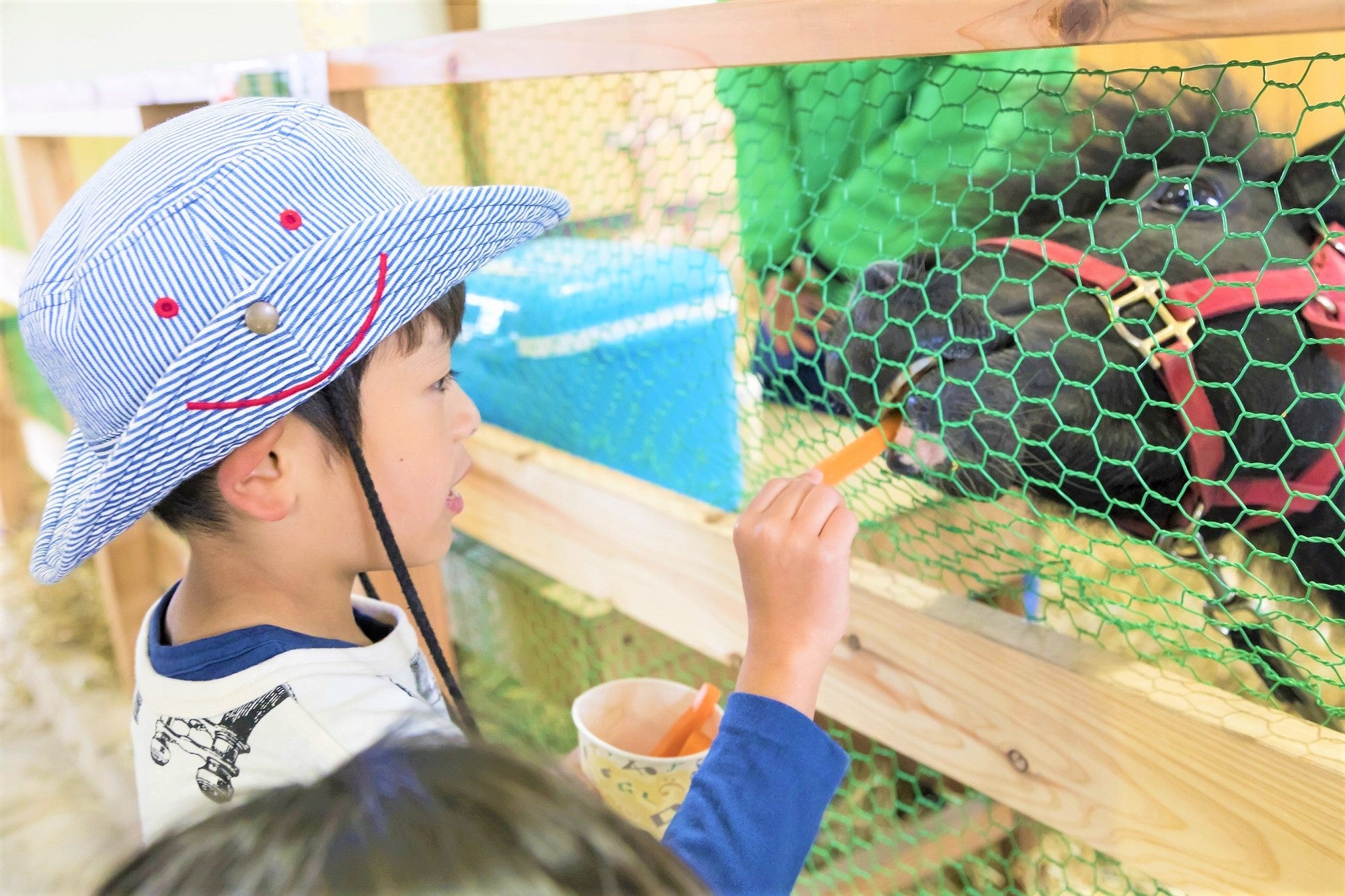 雫石プリンスホテル・雫石スキー場　県内唯一のロープウェーに乗って、標高730mの山頂エリアで楽しもう　夏休...