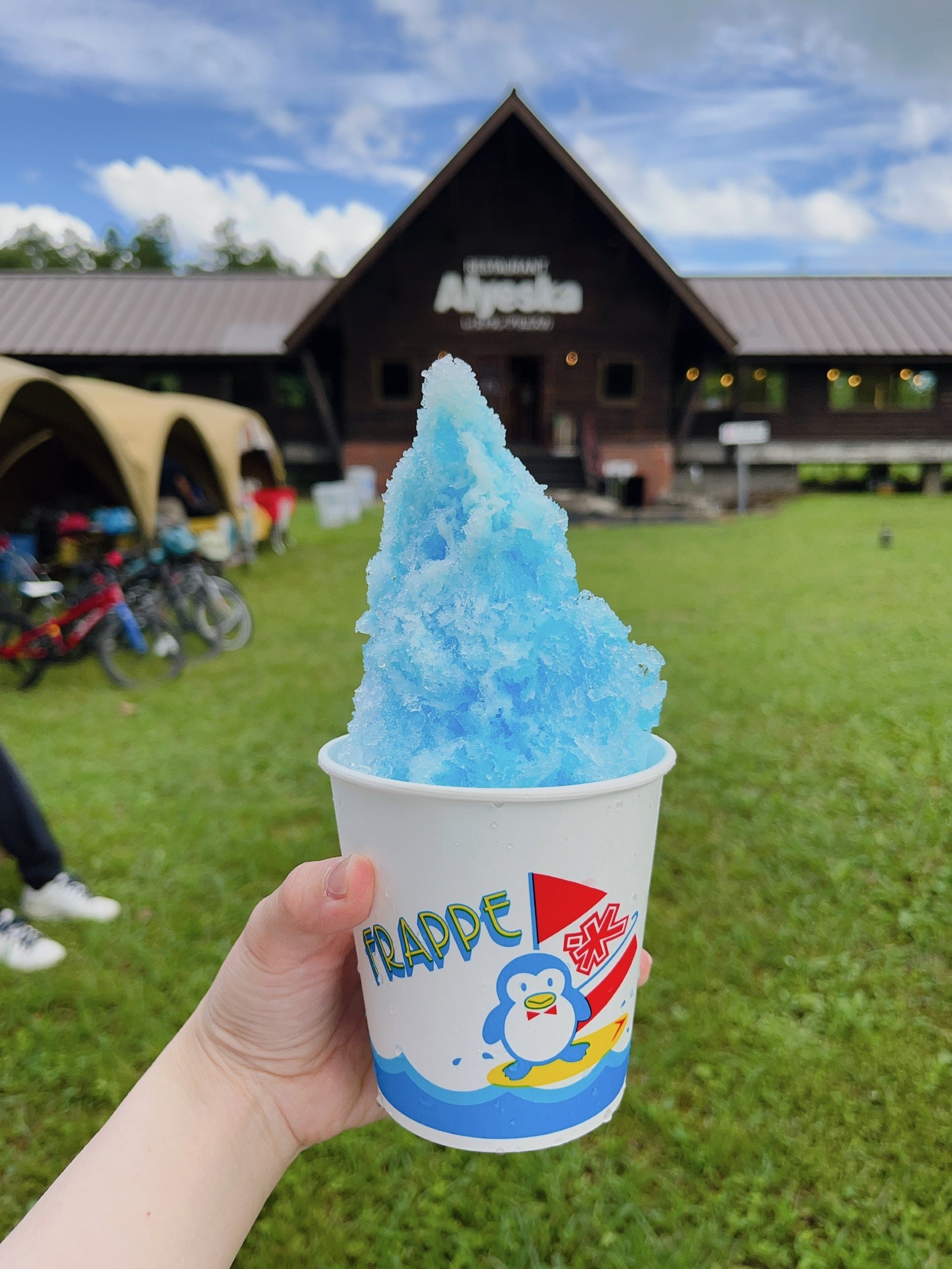 雫石プリンスホテル・雫石スキー場　県内唯一のロープウェーに乗って、標高730mの山頂エリアで楽しもう　夏休...