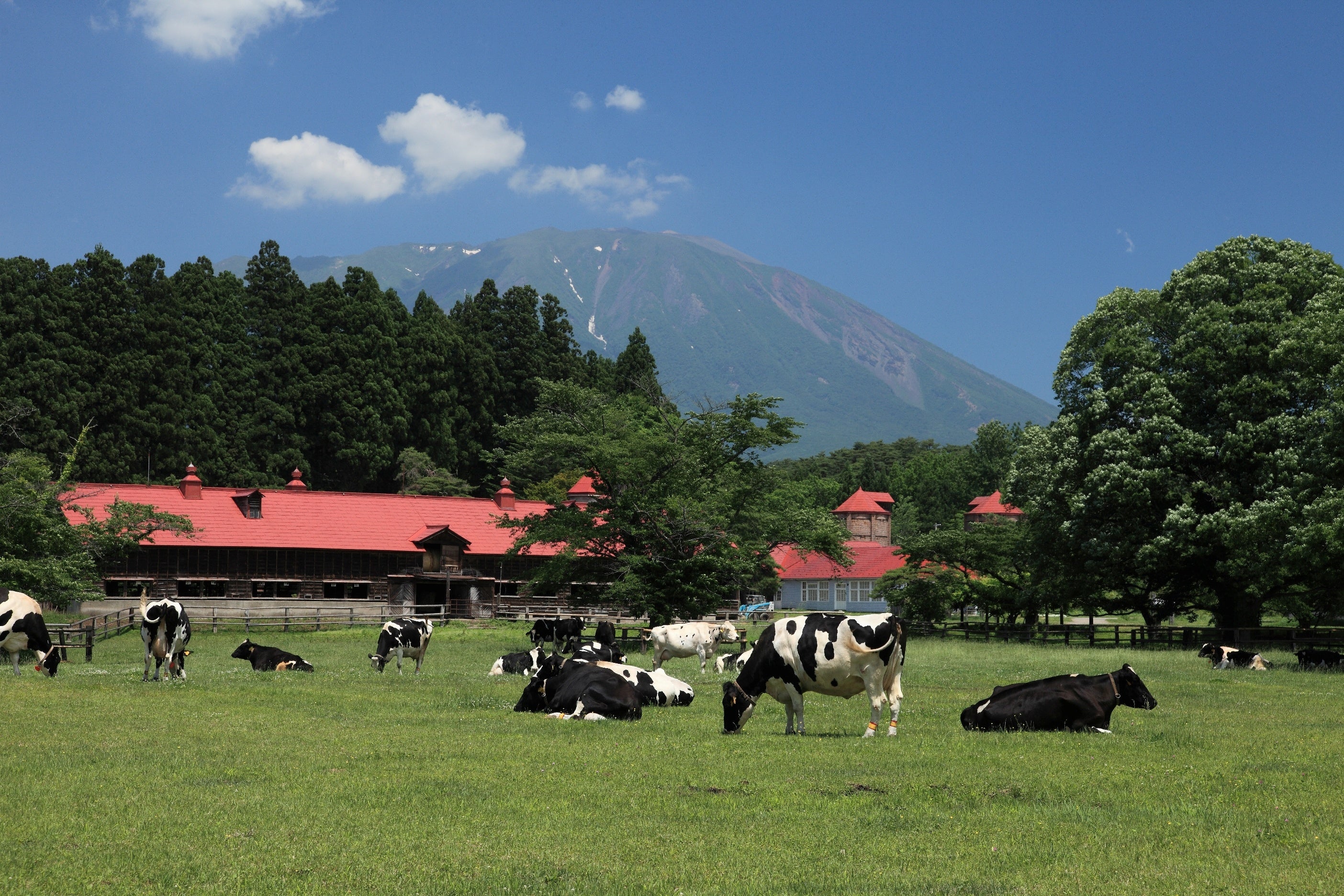 雫石プリンスホテル・雫石スキー場　県内唯一のロープウェーに乗って、標高730mの山頂エリアで楽しもう　夏休...