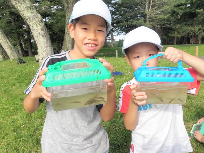 リゾートホテルの森や池で採集する森の昆虫＆池の生き物大調査隊や上越市立水族博物館うみがたりの「観て、触...