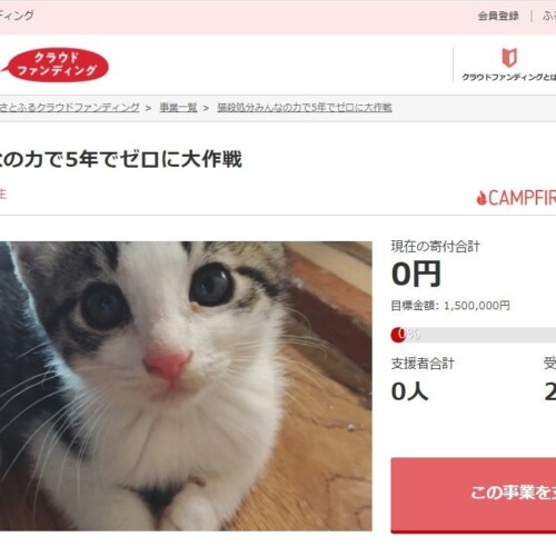 長野県飯田市とさとふる、猫の殺処分ゼロや市立動物園運営を通して人と動物のよりよい共存社会を目指し寄付受...