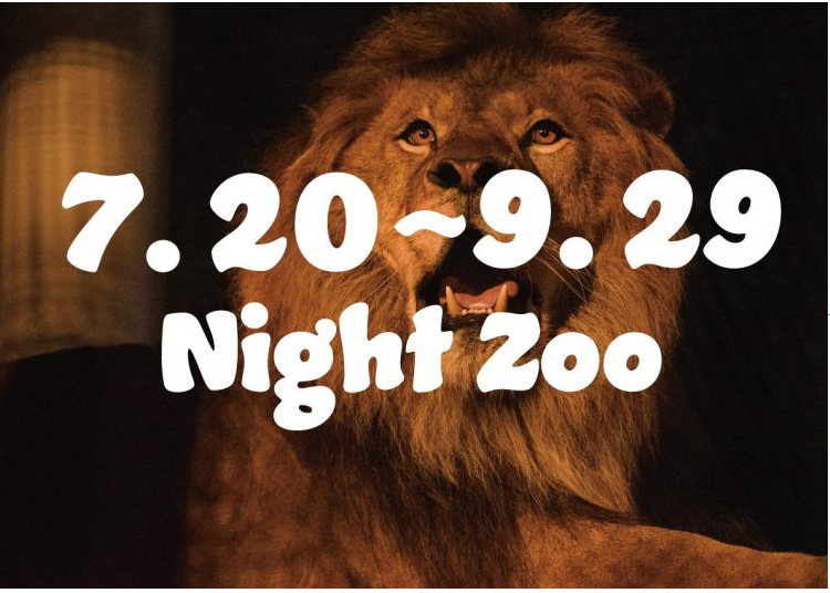 今年は７０周年スペシャル仕様の”ナイトZOO”！夏の夜は豊橋総合動植物公園「のんほいパーク」へGO！7月2０日...