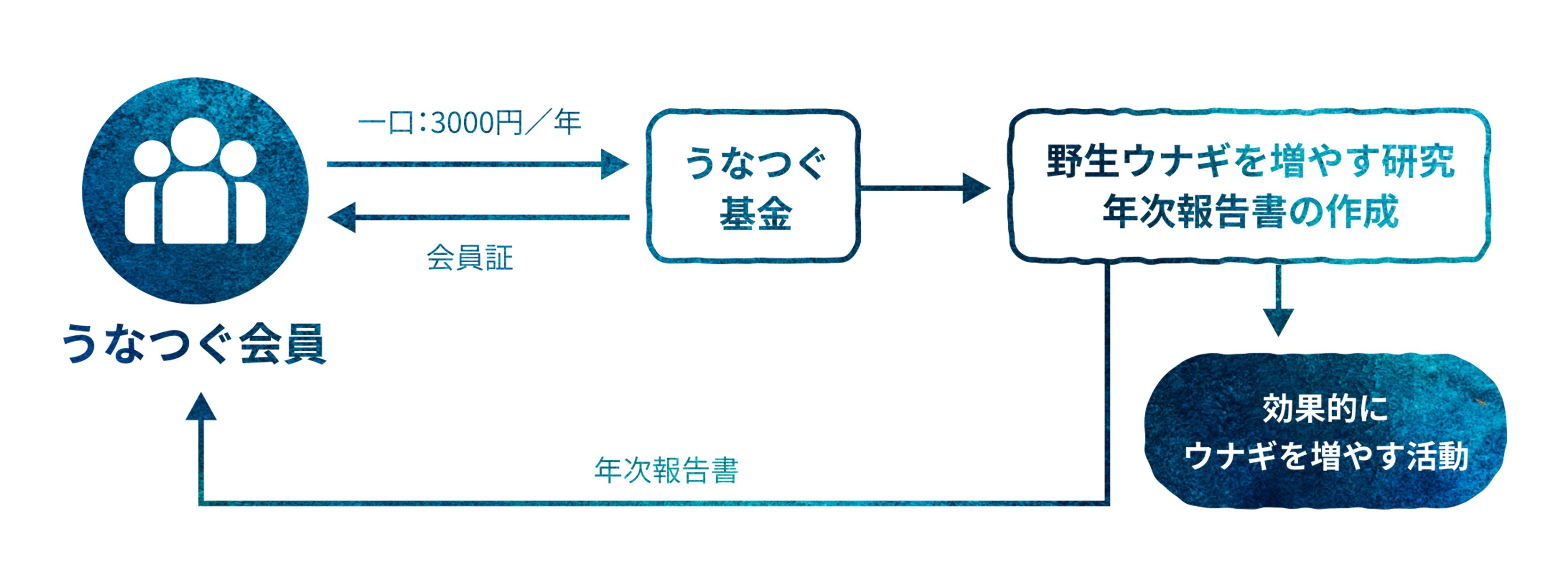 うなぎ食べ継ぐプロジェクト（うなつぐプロジェクト）の対象となる特別メニュー「うなつぐ重」が八重洲 鰻は...