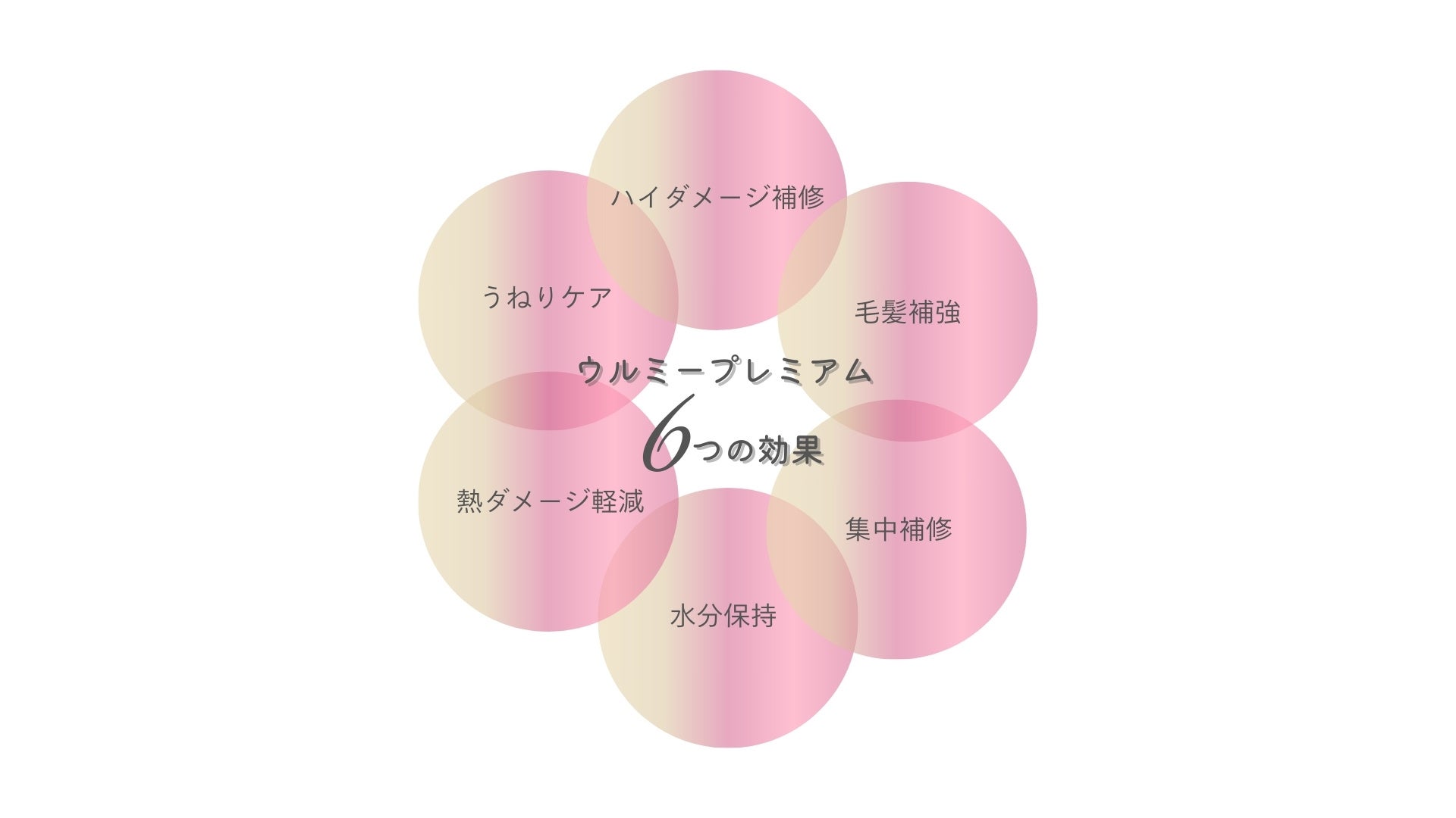 ウルミー史上最高峰のうるぷる仕上げで、ハイダメージ髪も長時間、しっとりまとまるタンパク質美容の集中補修...