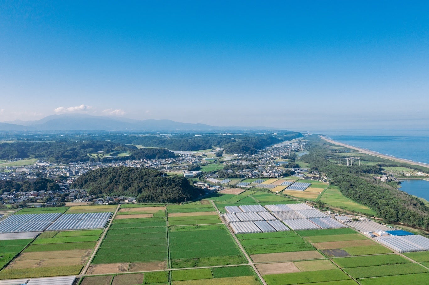 宮崎黒毛和牛ローカルブランド「JAこゆ牛」。肉の専門家が選ぶA4等級以上の希少なお肉を池袋で限定提供ー宮崎...