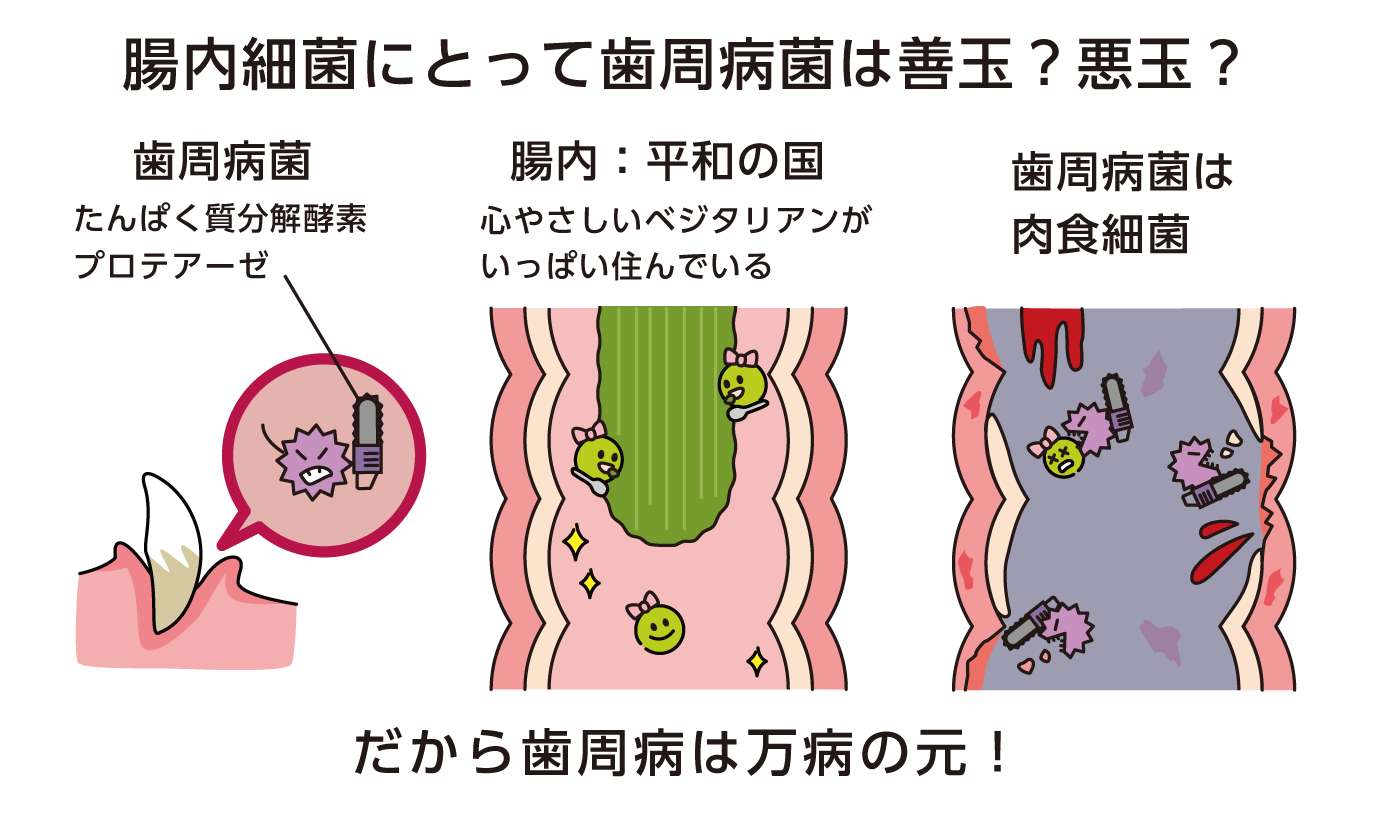 アニコム、『がんを含む全ての疾病予防に係る共同研究』募集を開始