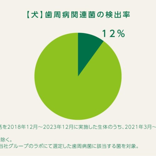 アニコム、『がんを含む全ての疾病予防に係る共同研究』募集を開始