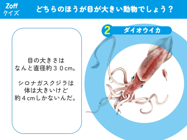 メガネのZoff「目の健康」を啓発する出張授業。愛知県大府市立東山小学校の4年生から6年生まで約250名を対象...