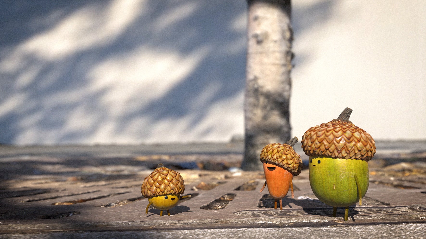 『Acorns』©Tonko House Inc.