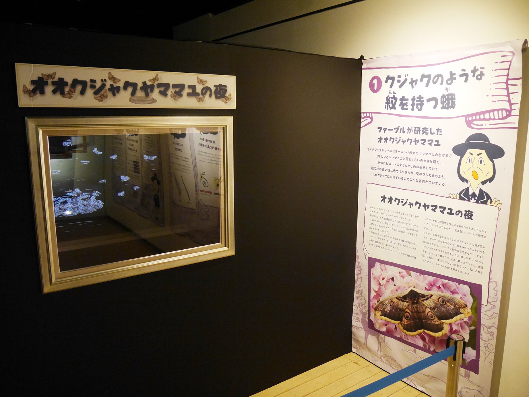 子供から大人までのめり込める『体感するファーブル昆虫展 in 横浜赤レンガ倉庫』開催中！ヘラクレスオオカブ...