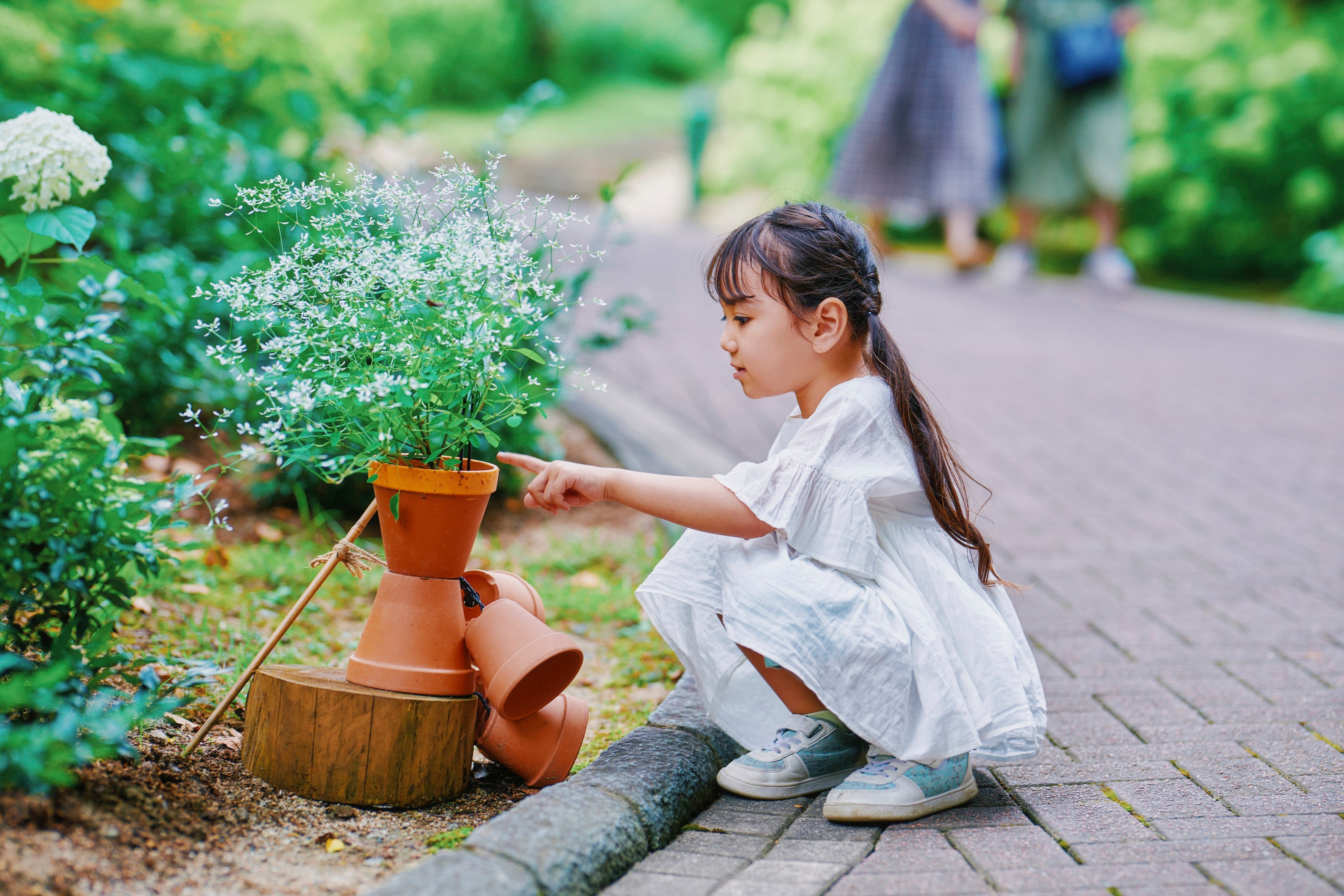 「きっと忘れない夏GARDEN FEST 2024-Summer-」がスタート。神戸布引ハーブ園が夏のリゾートに様変わり。昼は...