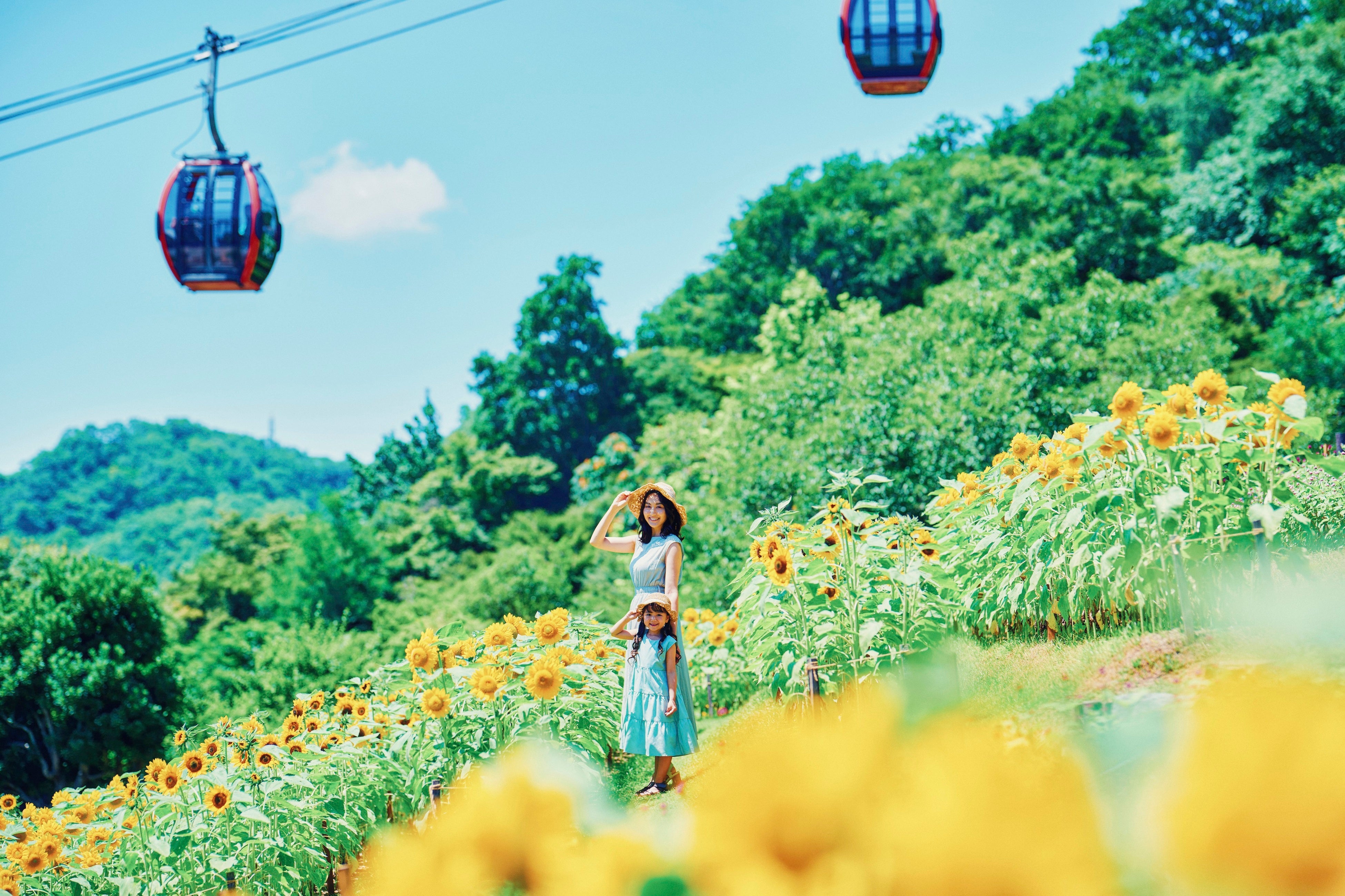 「きっと忘れない夏GARDEN FEST 2024-Summer-」がスタート。神戸布引ハーブ園が夏のリゾートに様変わり。昼は...