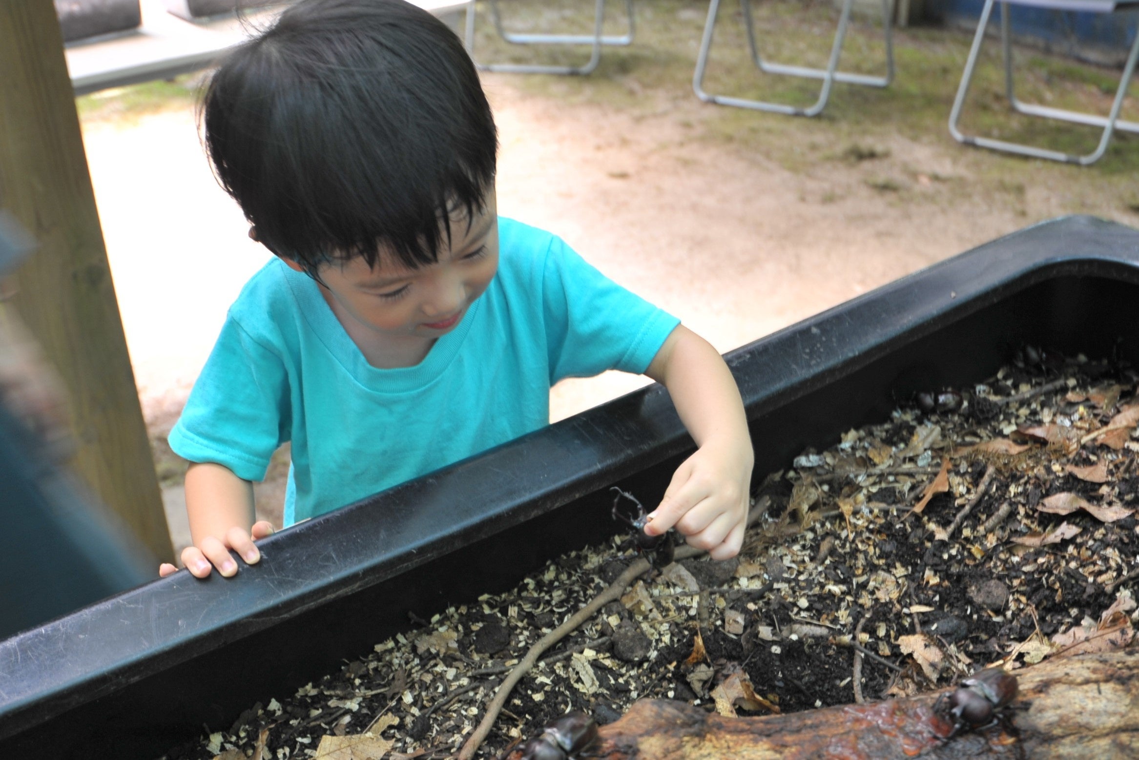 夏のお出かけはまんのう公園で決まり！「サマーフェスタ」を開催します（国営讃岐まんのう公園）