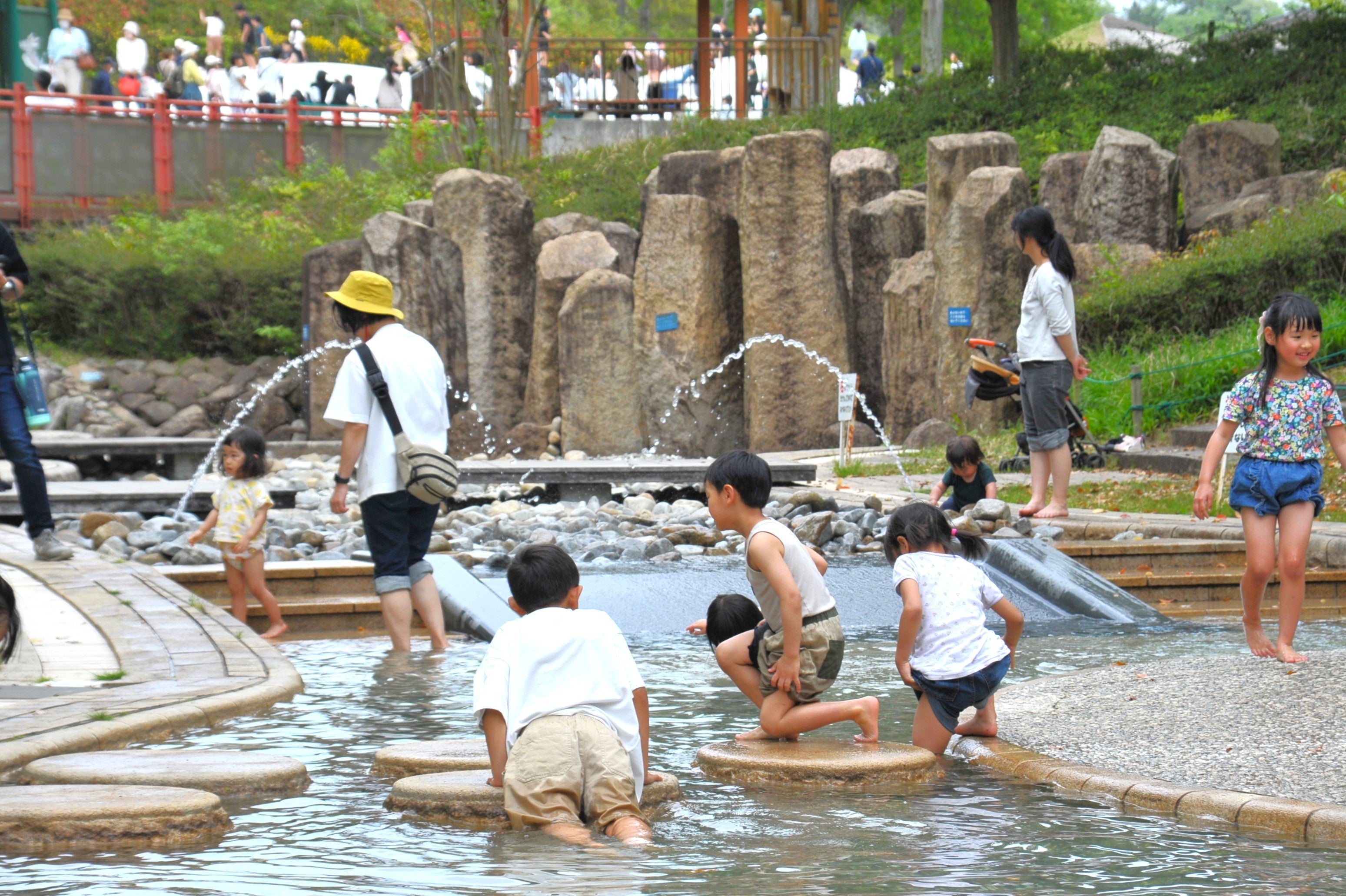 夏のお出かけはまんのう公園で決まり！「サマーフェスタ」を開催します（国営讃岐まんのう公園）