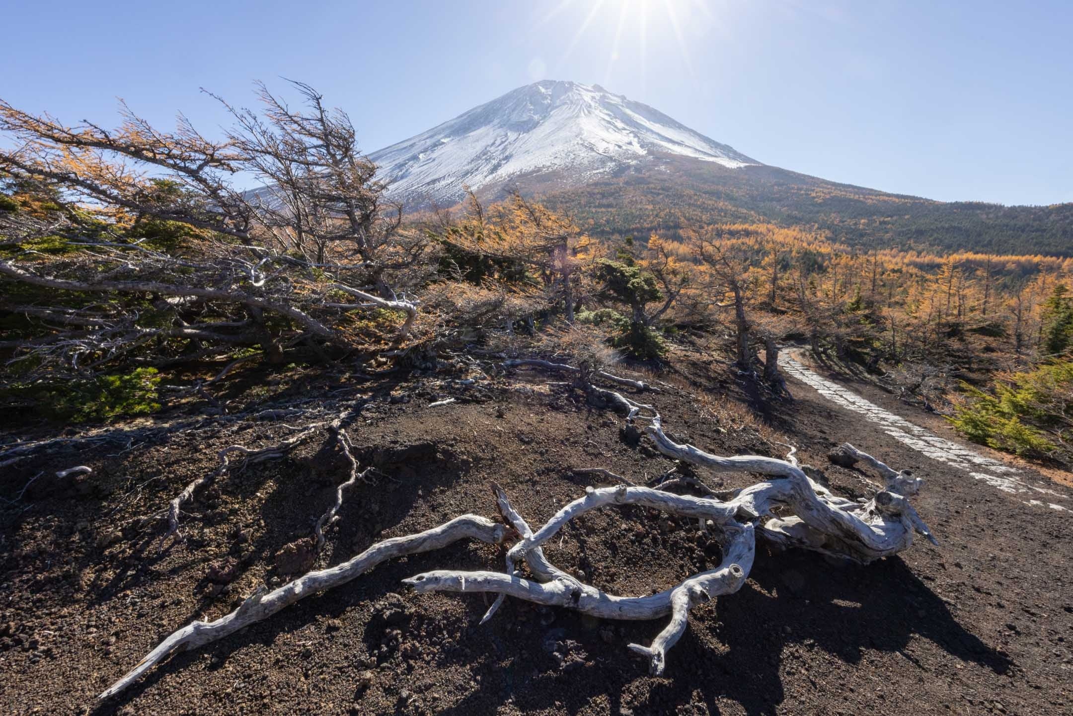 【星のや富士】富士山の秋の絶景を楽しむ「富士紅葉トレッキング」を開催｜期間：2024年10月25日～11月30日