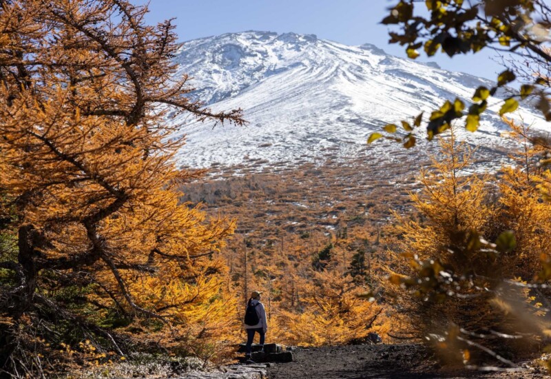 【星のや富士】富士山の秋の絶景を楽しむ「富士紅葉トレッキング」を開催｜期間：2024年10月25日～11月30日