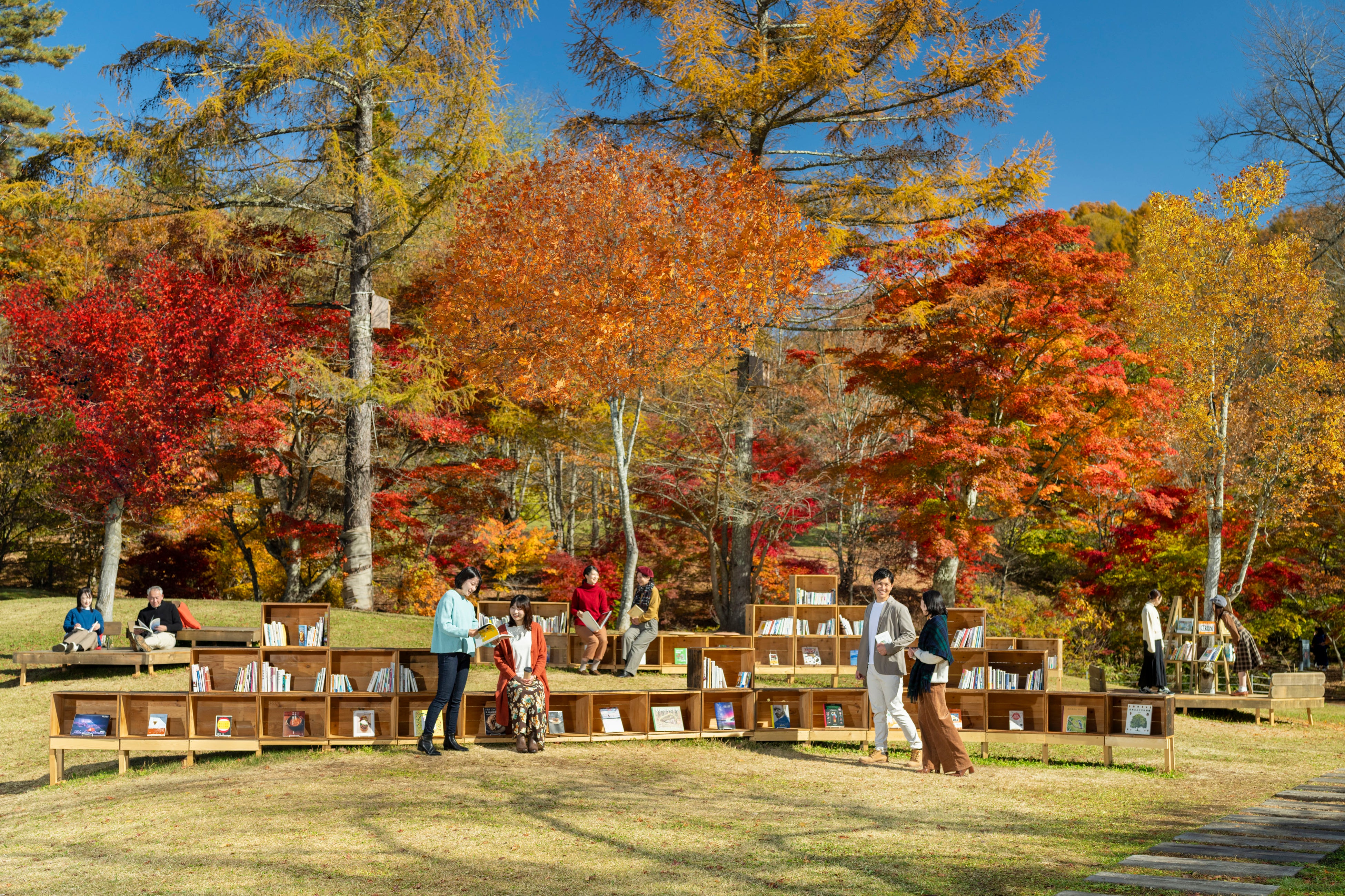 【軽井沢星野エリア】紅葉と読書の秋を満喫するイベント「紅葉図書館」を開催｜期間：2024年10月5日～11月3日