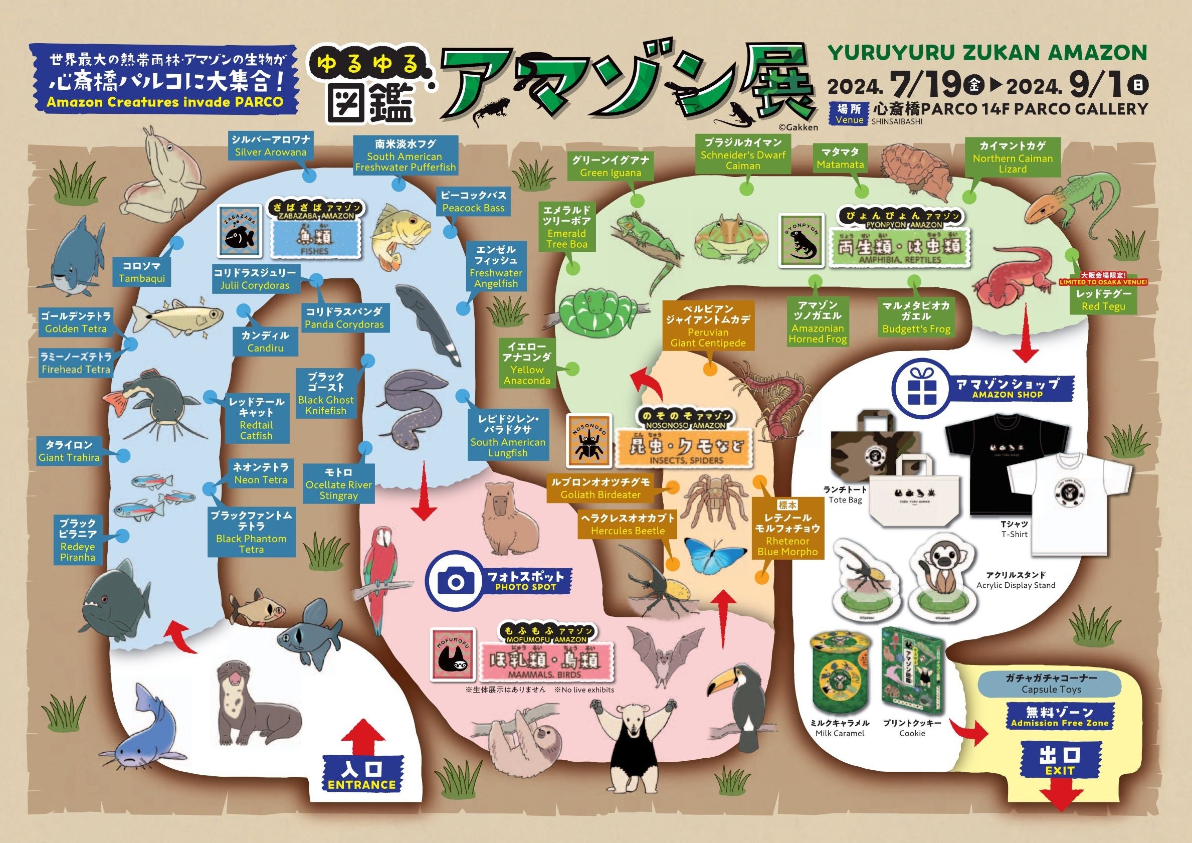 ＜夏休みのお出かけや自由研究に＞『ゆるゆるアマゾン図鑑』をモチーフにした生体展がついに開幕！イエローア...