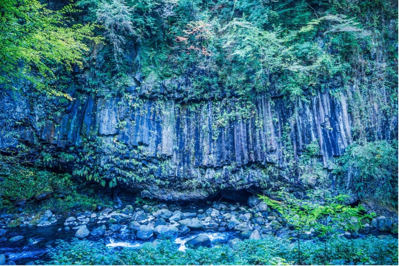 霧島神宮は、「噴火しないでくれ」とは祈らない。霧島錦江湾国立公園・公式オーディオガイドをリリース
