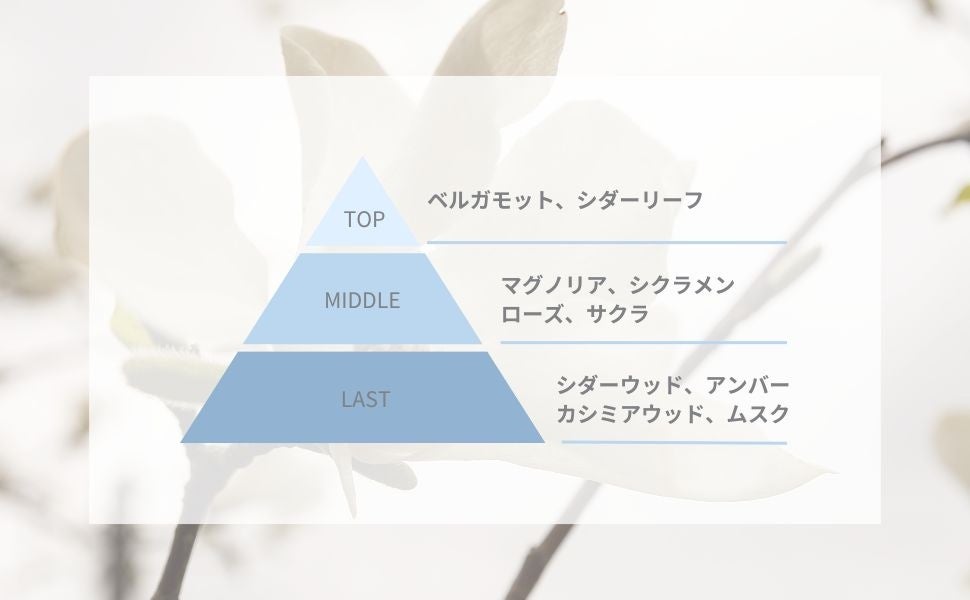 【新登場】大人気フレグランスシリーズに新たな香り。「上品をまとう」タイプの違う2つの香りが新登場。