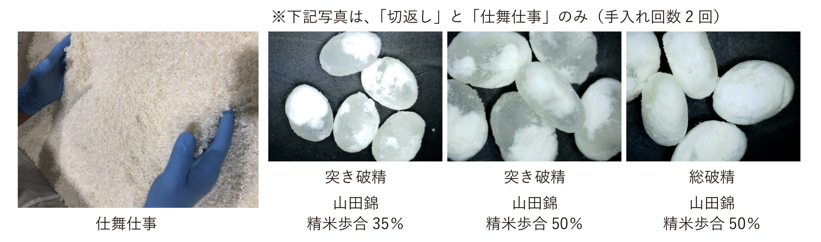 日本酒の可能性を広げる。クラフトマンシップと自動化を融合した、画期的な棚式製麹機「HQ 型」本格始動！