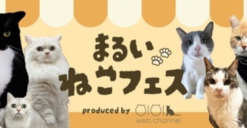 総フォロワー数１００万人以上！人気猫ちゃんとのコラボイベント「まるいねこフェス」を「世界猫の日」にあわ...