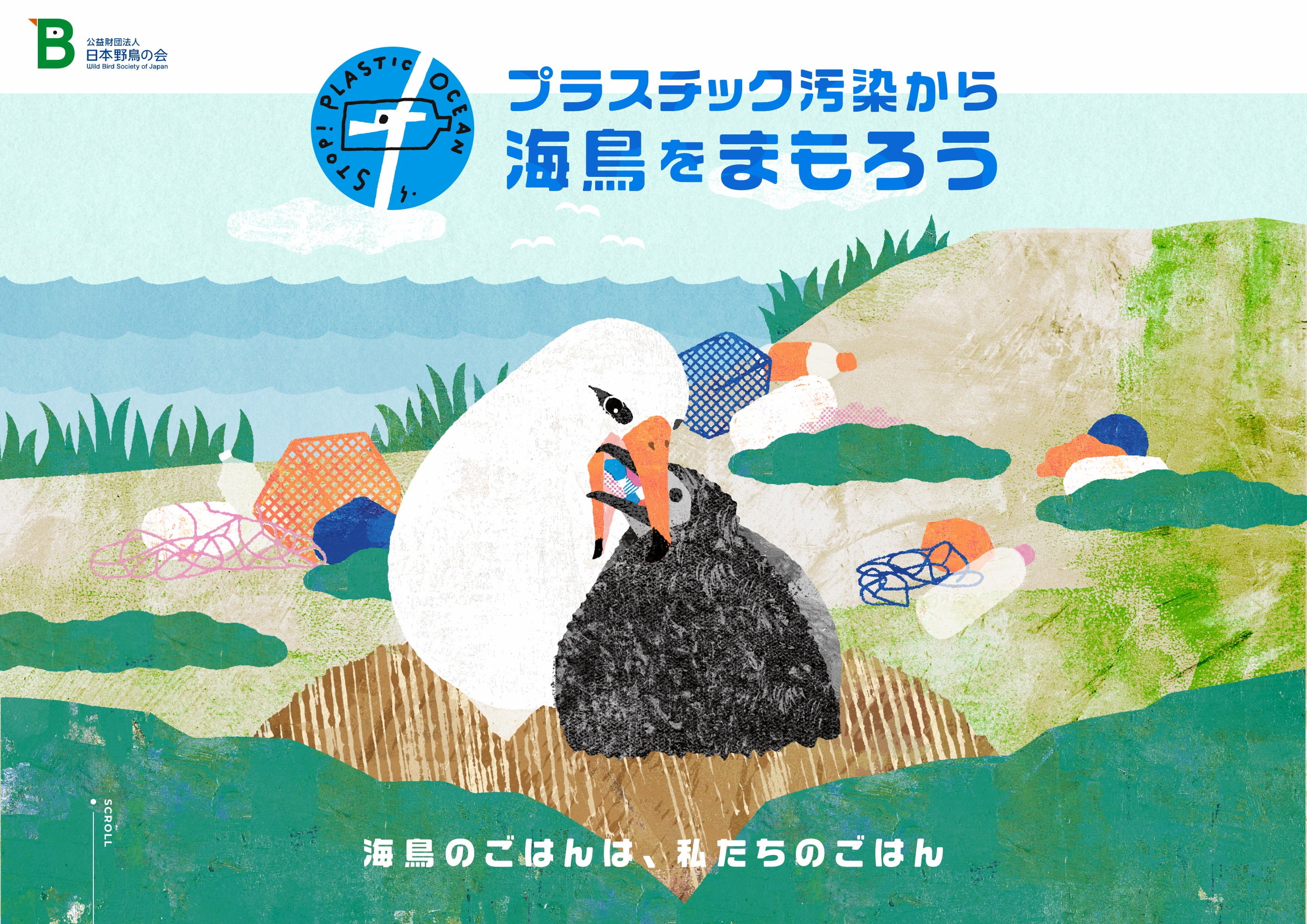 プラスチックによる野鳥の被害状況調査実施と特設ページ開設のお知らせ