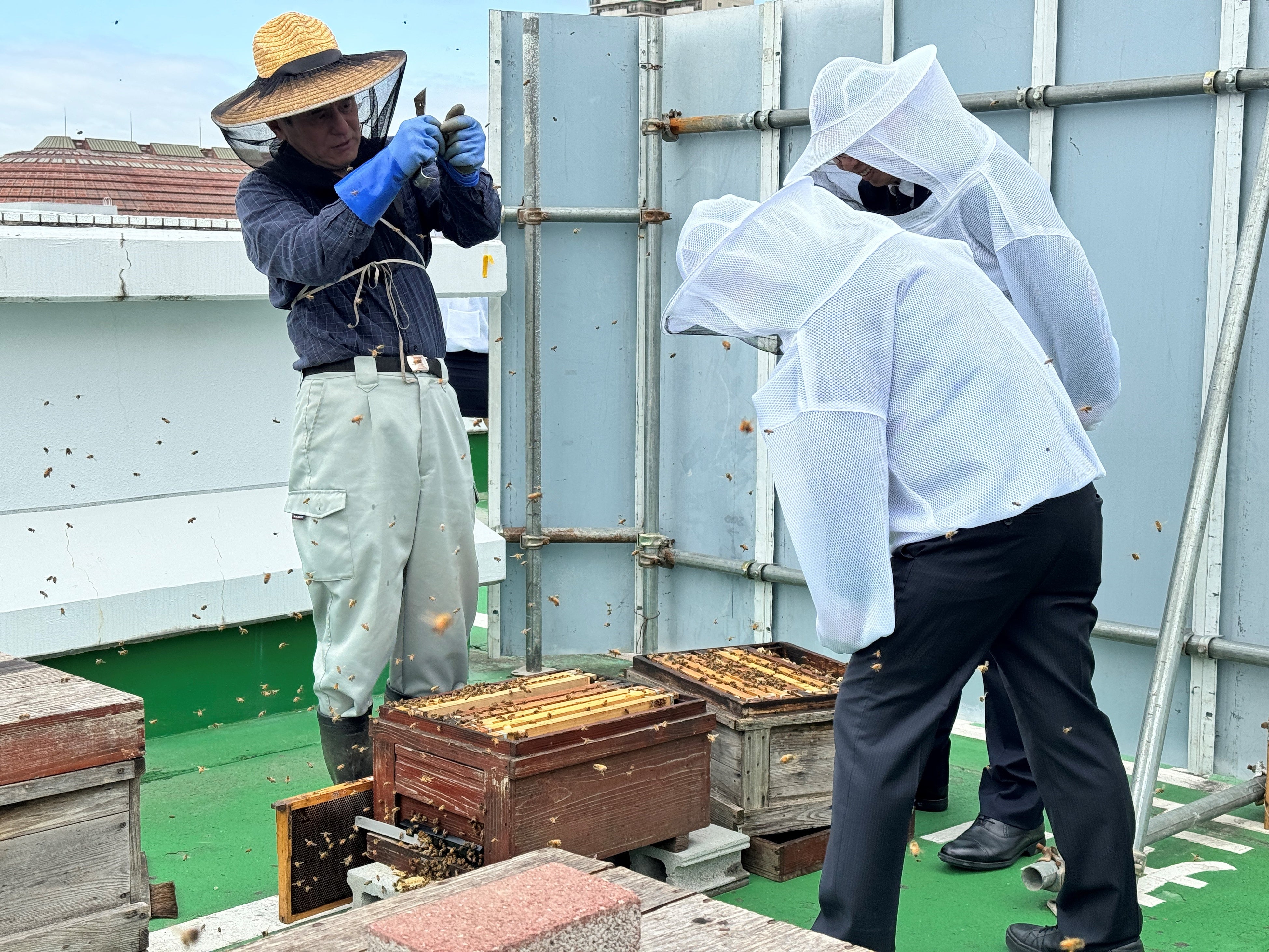 【神戸ポートピアホテルのSDGs】養蜂活動、今年も採蜜成功！「 ポートピアハニー 」瓶詰商品など2024年8月3日...