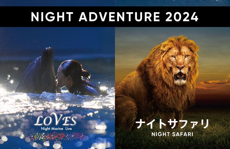 ～NIGHT ADVENTURE ２０２４～ SUNSET SAFARI BAR（サンセットサファリバー）でサバンナの夕暮れに酔いしれる...