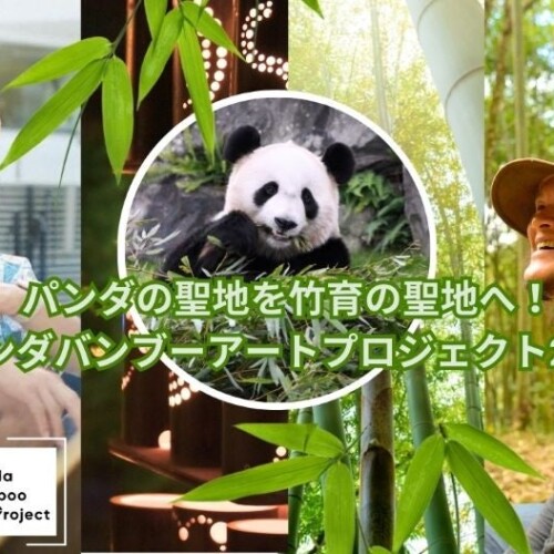 “パンダバンブーアートプロジェクト２０２４”パンダが食べる竹５，０００ 本で、世界の人々と驚きの「アート...