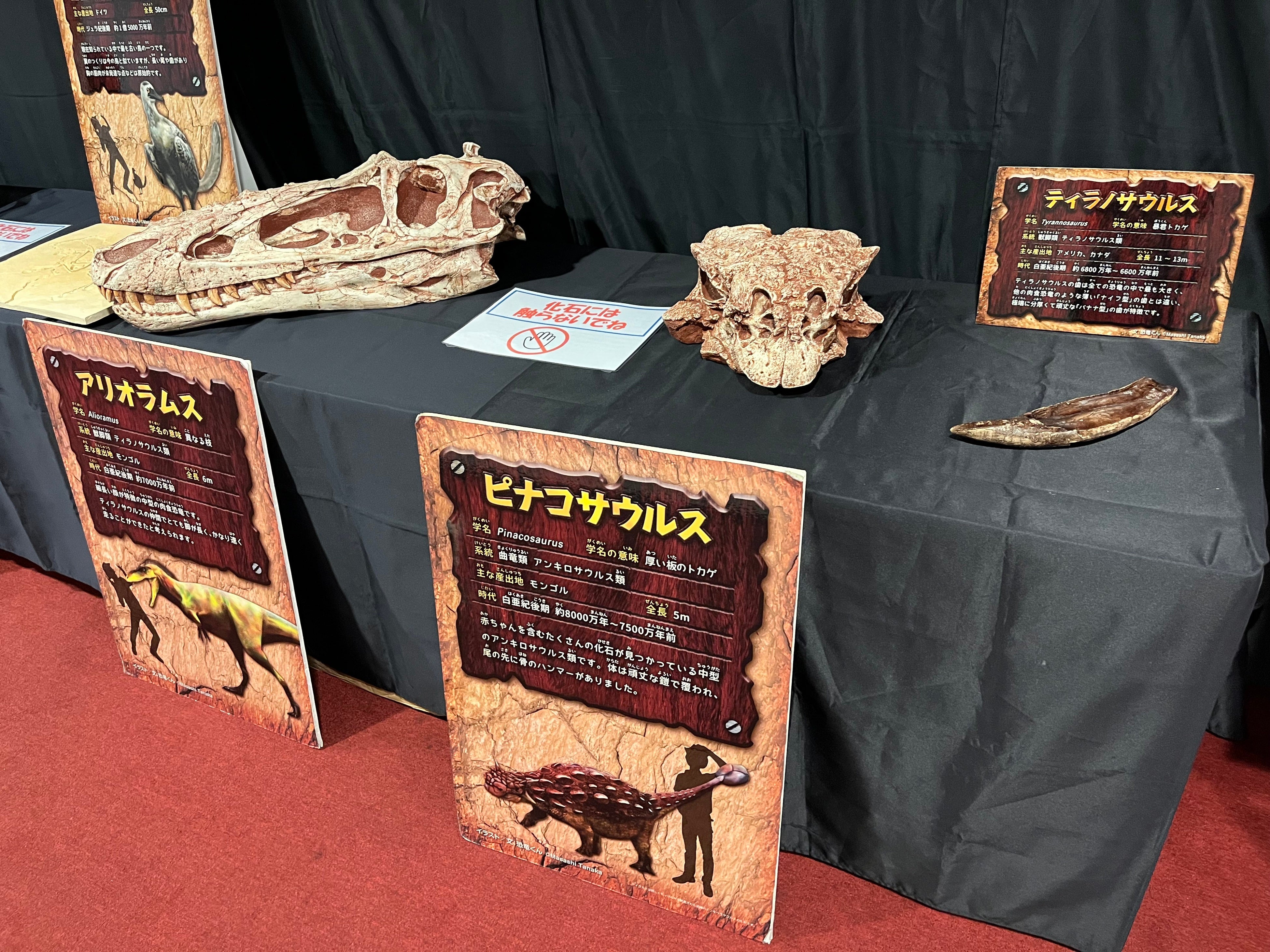 ミニ恐竜展