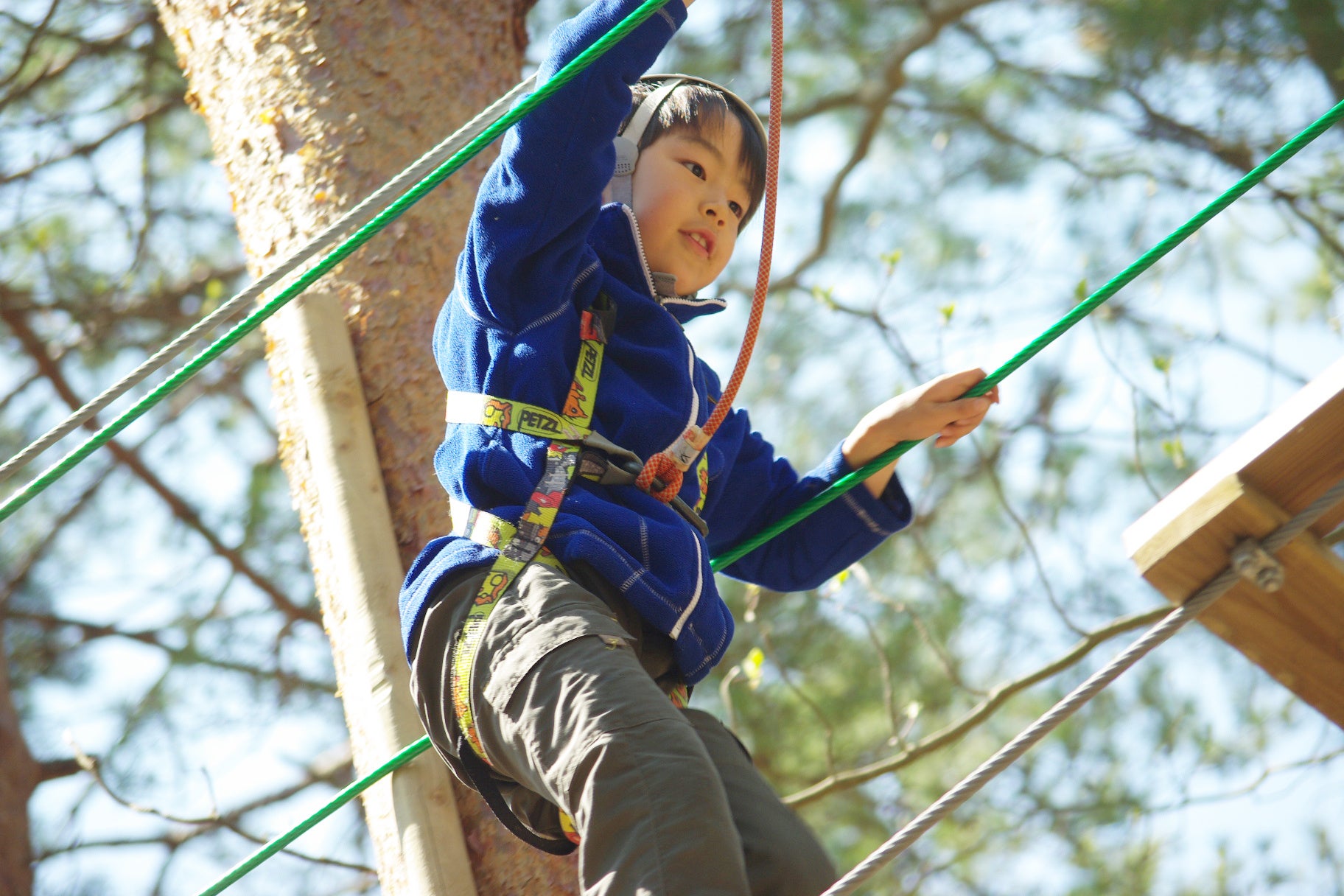 2024夏 丹波篠山の涼しい森で冒険を　未就学児から楽しめる「新コース」をリニューアルオープン！