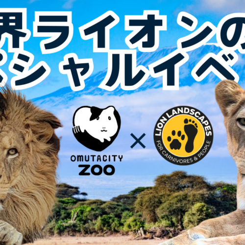 【福岡県大牟田市】大牟田市動物園　　　　　　　　　　　　　　　～世界ライオンの日スペシャルイベント開催～