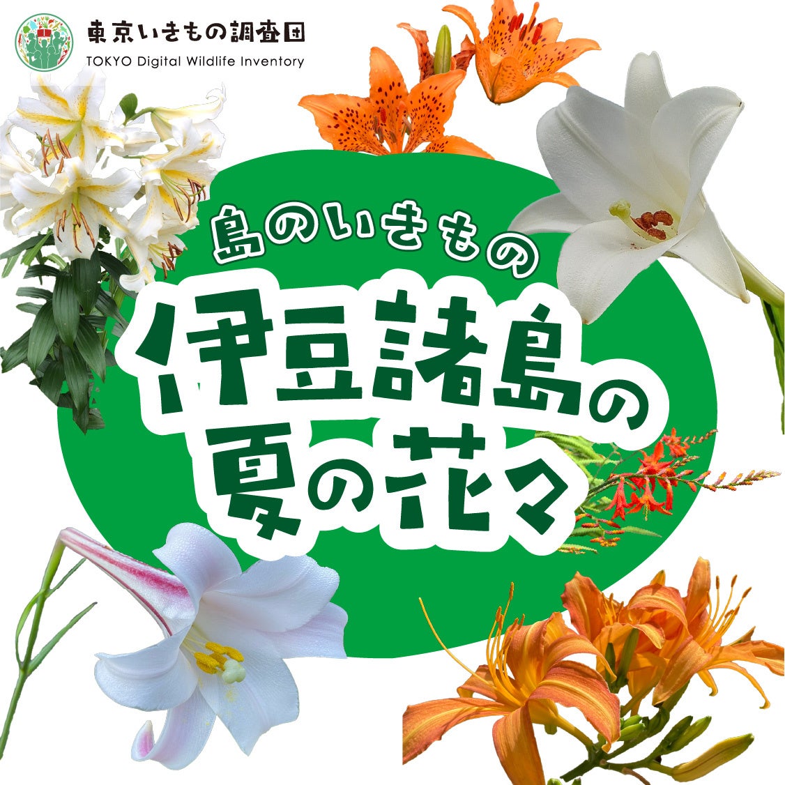 東京都 x 株式会社バイオーム『東京いきもの調査団 2024夏編』スタート